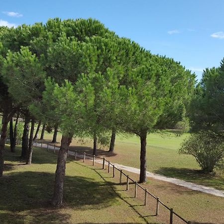 Vert Paradis - Vue Apaisante Sur Golf, Pins Parasols, 2E Etage - 80 M2 Dont Terrasse Avec Pergola, 2 Chambres, 3Et Iles, 3 Clim, Wifi - Piscine, Parking Et Park A Velos, Ascenseur - En Option Linge, Menage - Pistes Cyclables, Mer A Proximite Saint-Cyprien  Dış mekan fotoğraf