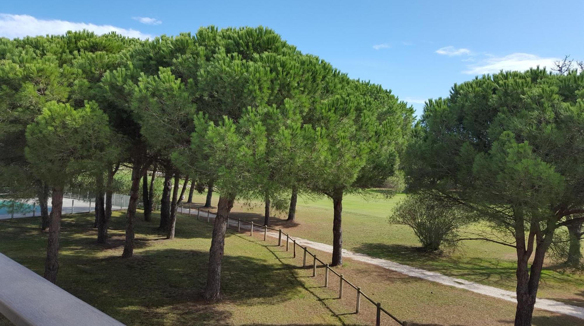 Vert Paradis - Vue Apaisante Sur Golf, Pins Parasols, 2E Etage - 80 M2 Dont Terrasse Avec Pergola, 2 Chambres, 3Et Iles, 3 Clim, Wifi - Piscine, Parking Et Park A Velos, Ascenseur - En Option Linge, Menage - Pistes Cyclables, Mer A Proximite Saint-Cyprien  Dış mekan fotoğraf