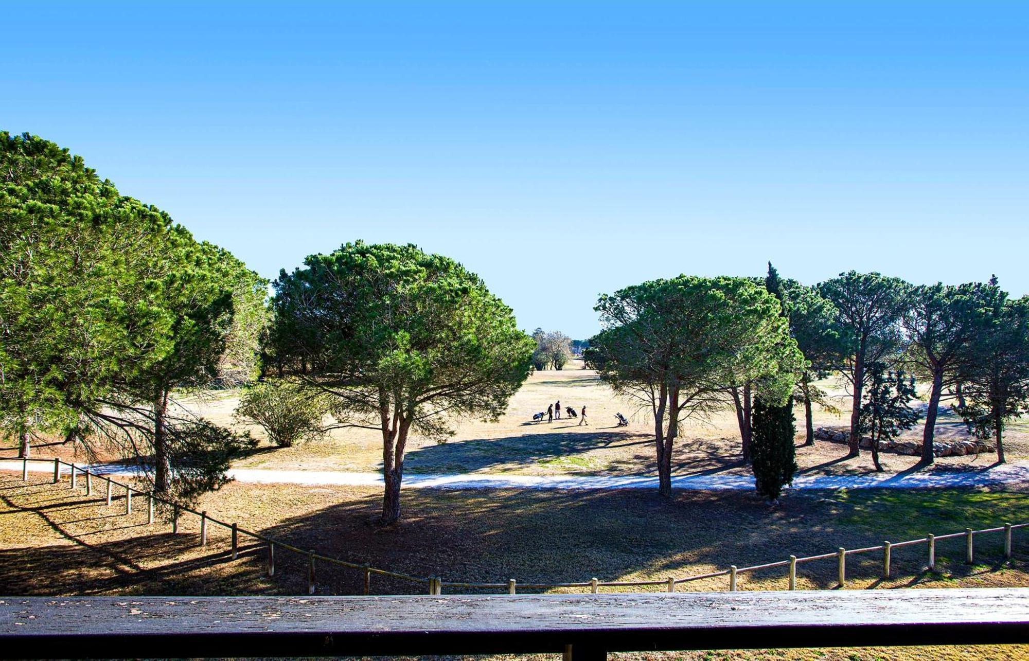Vert Paradis - Vue Apaisante Sur Golf, Pins Parasols, 2E Etage - 80 M2 Dont Terrasse Avec Pergola, 2 Chambres, 3Et Iles, 3 Clim, Wifi - Piscine, Parking Et Park A Velos, Ascenseur - En Option Linge, Menage - Pistes Cyclables, Mer A Proximite Saint-Cyprien  Dış mekan fotoğraf